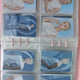 Selling Seventeen Joshua photocards.