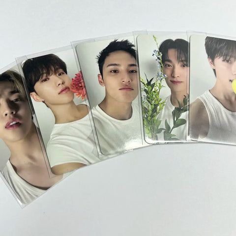 Seventeen Dear Version Random Photocards Bulk Transfer