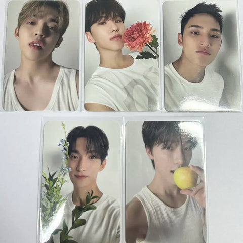Seventeen Dear Version Random Photocards Bulk Transfer