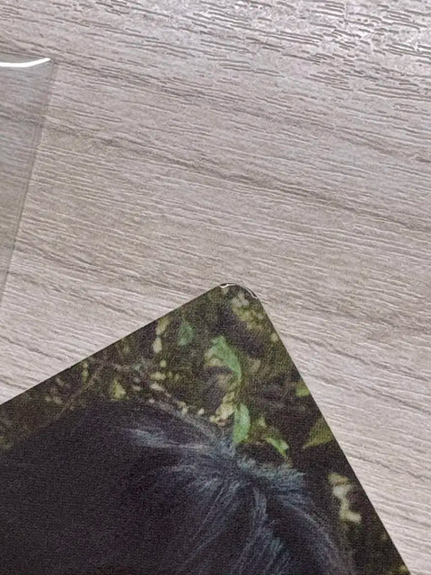 NCT Doyoung album photocards - lot
