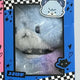 Unreleased film starring Xdinary Heroes' Jooyeon and JUPITER.
