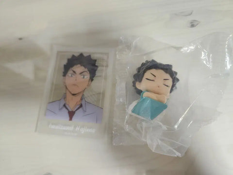 Haikyu!! Iwaizumi Onemutan 2nd Edition, Clear Phats