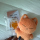 Kim Sung-kyu Kyuwoo Doll