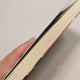 Gintama 3rd Year Class Z Ginpachi Original Manga Appendix Poster Included