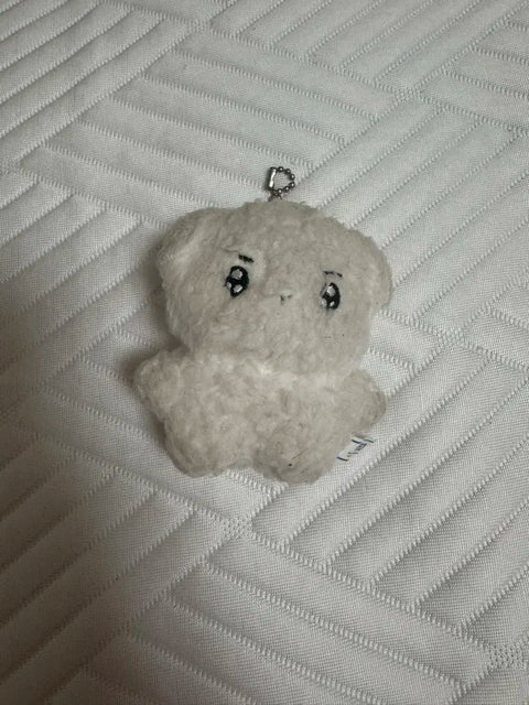 The Boyz Younghoon doll Bbangkkomi
