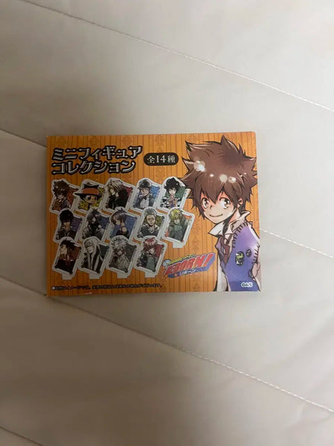 Tutor Hitman Reborn Tsuna Acrylic