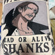 Shanks Bounty Cushion