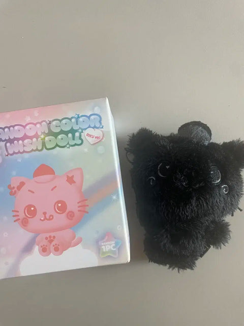 NCT Wish WitBubu WiBubu Secret Kuri Black Kuri Black Kuri Transfer Riku