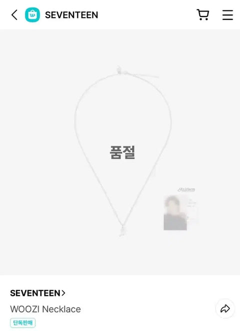 Seventeen 9th Anniversary Woozi Necklace Unopened Photocard Full Set Transfer