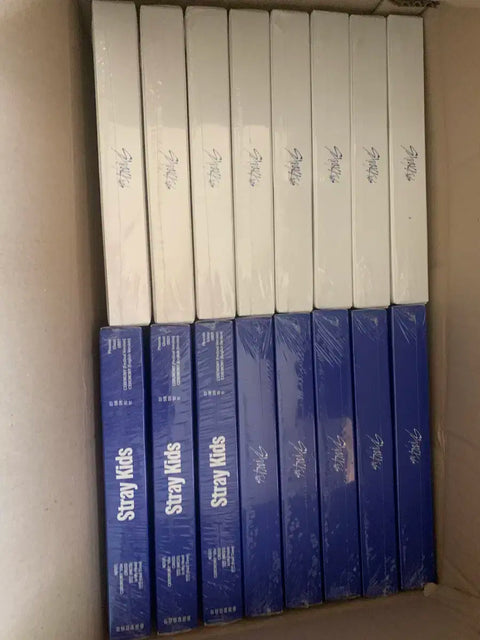 Stray Kids Karma album