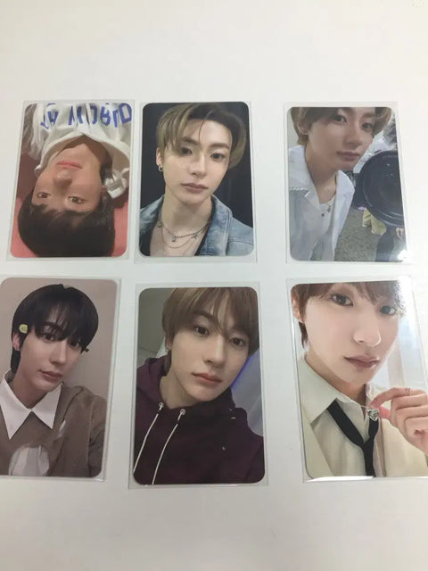 Rise Anton photocard all together