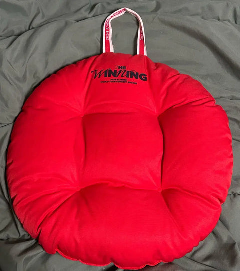IU 2024 Concert The Winning Seat Cushion Transfer!