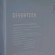 Seventeen 10th Anniversary Light Stick Carat Bong New Carat Bong New New Carat Bong
