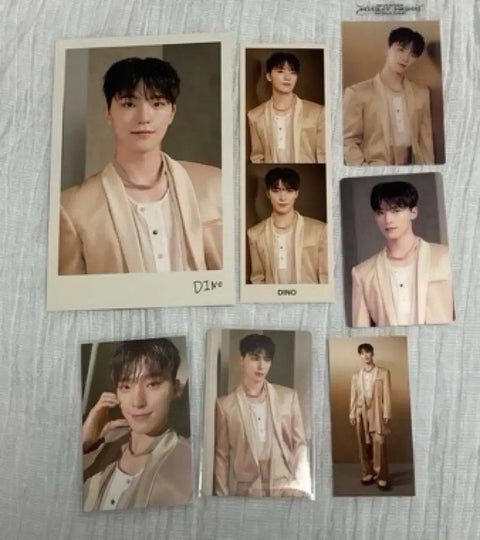Seventeen Goyang Concert MD Dino Full Set Trading Card Selfie Transfer