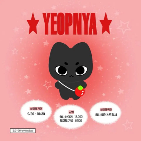 Lucy Choi Sang-yeop doll, photocard, slogan, selling, transfer.