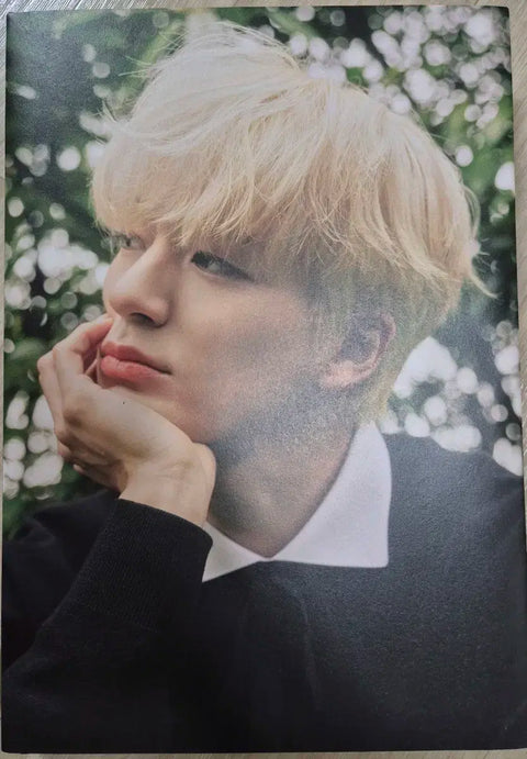 Jeno Photobook