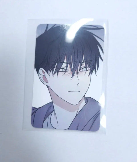 Waterfront Night Rebom Special Photocard Transfer 2