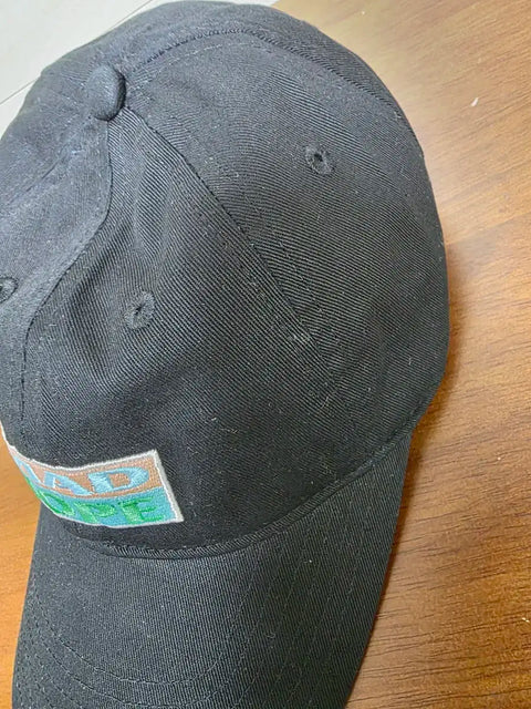 Gen Hoshino's Korea concert hat