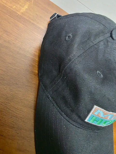 Gen Hoshino's Korea concert hat