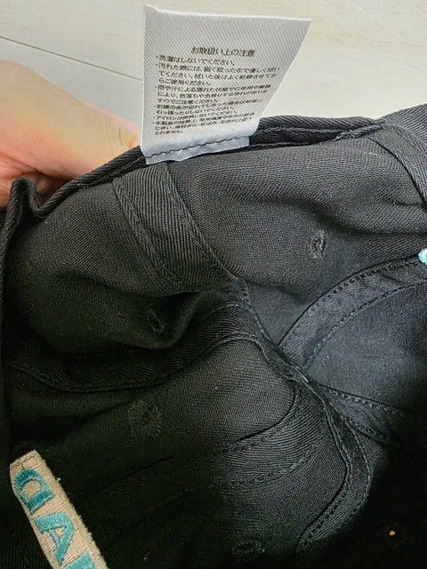Gen Hoshino's Korea concert hat