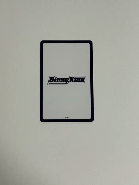 Stray Kids 2024 JYP Japan Pop-up 10,000 Yen Benefit Gucci Lino