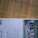 Girlfriend Me Gustas Tu Flower Bud Oh Album From