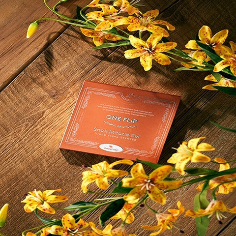 [✈️KOREA] Easyfold - OneFlip Snail Miracle Gel