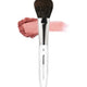 [✈️KOREA] PiccassoCollezioni - 108 Blusher Brush